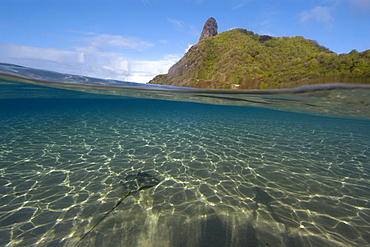 Split image of Southern stingray, Dasyatis americana, on the sandy bottom and Pico Hill, Fernando de Noronha, Brazil, South Atlantic