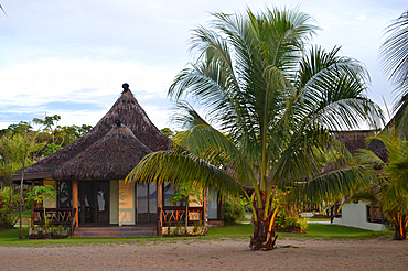 Beachfront resort bangalow, or "bure", Pacific Harbour, Viti Levu, Fiji