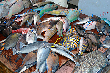 Reef fishes for sale in the Suva market, Suva, Viti Levu, Fiji, South Pacific