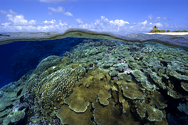 Split image of pristine coral reef and deserted island, Rongelap, Marshall Islands, Micronesia