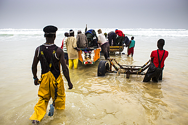 Men unload a fish canoe in the afternoon fish market in Mboro Plage beach when the canoes arrive loaded