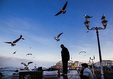 The harbour of Essaouira when the fish boats just arrive in the afternoon