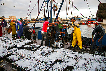 The harbour of Essaouira when the fish boats just arrive in the afternoon