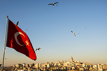 Galata neighbourhood and Galata Tower seen from the Golden Horn of Istanbul during sunset