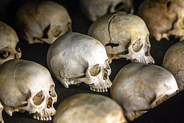 Damaged skulls of known victims of the 1994 Rwandan Genocide remain interred inside of of the Kigali Genocide Memorial as a testament to those lost in the brutality, Kigali, Rwanda.