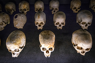 Damaged skulls of known victims of the 1994 Rwandan Genocide remain interred inside of of the Kigali Genocide Memorial as a testament to those lost in the brutality, Kigali, Rwanda.