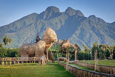 Gorilla Naming ceremony grounds, Volcanos national park, Rwanda.