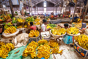 Bananas for sale, Kimironko Market, Kigali Rwanda