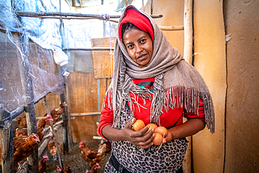 An Ethiopian farmer holding eggs from her chicken coop, Debre Berhan, Ethiopia.