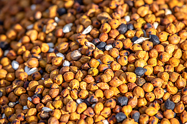 Closeup of roasted Chickpeas, Debre Berhan, Ethiopia