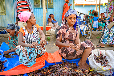 Woman sit together and sort through dried red chili peppers at outdoor market, Debre Berhan, Ethiopia