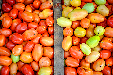 Close up on pile of small tomatoes in bins, Debre Berhan, Ethiopia