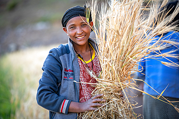 A woman harvesting barley near Ankober, Ethiopia.