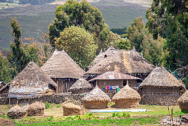 Straw thatched huts in the villages outside of Debre Berhan, Ethiopia.