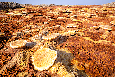 Dallol hydrothermal hot springs in the Danakil depression at the Afar Triangle, Ethiopia