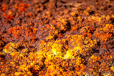 Dallol hydrothermal hot springs in the Danakil depression at the Afar Triangle, Ethiopia