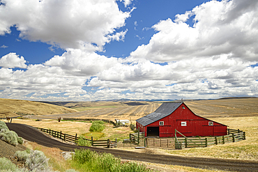 Barn at Anderson Ranch ("Since 1905"), Highway 206, between Condon and Heppner in eastern Oregon.