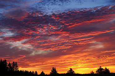 Sunrise sky and clouds over forest at Greenwich, Prince Edward Island National Park; PEI, Canada. .