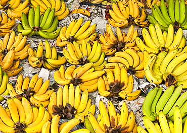 Bananas for sale in Pratu Chiang Mai market; Chiang Mai, Thailand.