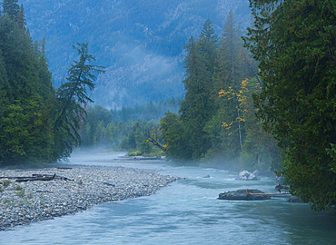 Stehekin River with morning fog, Lake Chelan National Recreation Area, Cascade Mountains, Washington.