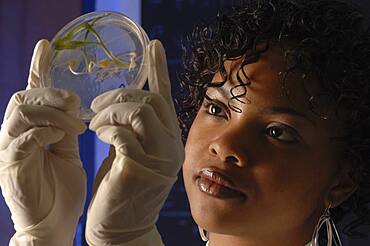 Scientist working in lab with plant material