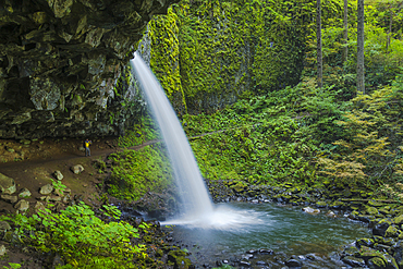 Hiker behind Ponytail Falls (aka Upper Horsetail Falls), Columbia River Gorge National Scenic Area, Oregon.