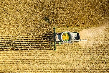 Aerial view of combine harvesting corn in a field near Jarrettsville, Maryland, USA