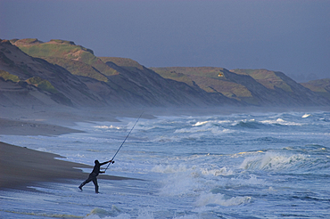 Fisherman casting into surf on beach at Marina Dunes State Park; Monterey County, California.