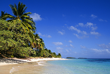 Marshall Islands, Micronesia: Beach and palm trees on Calalin Island, a "Picnic Island" on Majuro Atoll..