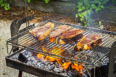 Chops on the barbecue. Navarre, Spain, Europe