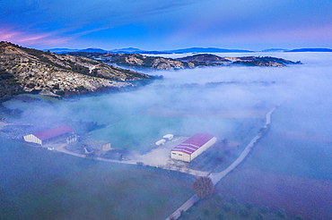 Agricultural area and fog. Aerial view. Ayegui area. Navarre, Spain, Europe