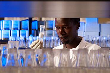 Researcher in a lab studying a sample