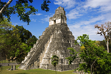 Tikal Pyramid ruins (UNESCO site), Guatemala. Great Jaguar Temple (Temple I) Pre-Columbian Maya Site at Tikal, El Peten National Park, Guatemala, a UNESCO World Heritage Site