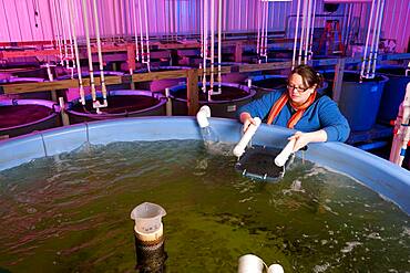 Woman conducting research in an aquaculture lab at Delaware State University