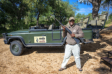 Guide at Mala Mala Game Reserve Sabi Sand Park Kruger South Africa, Africa