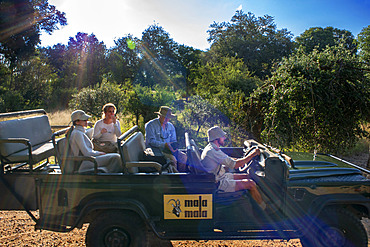 Safari car vehicle with tourists in Mala Mala Game Reserve Sabi Sand Park Kruger South Africa, Africa