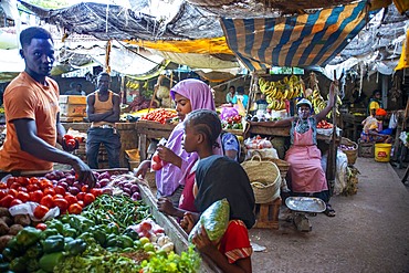 Man selling vegetables in the market, Lamu town, Lamu Archipelago, Kenya