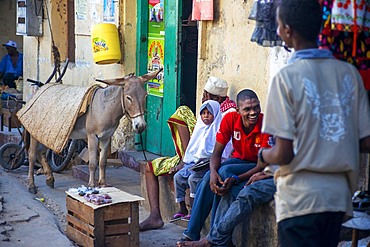 Local people small shops and houses and narrow strees of the city town of Lamu in Kenya