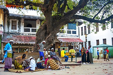 Kenya, Lamu Island. The open, shady square outside Lamu Fort Plaza Square near the island's administrative offices is used as a meeting point during the heat of the day.