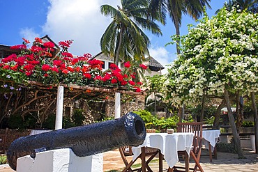 Nice houses and hotels in Shela beach in the south of Lamu island archipelago in Kenya