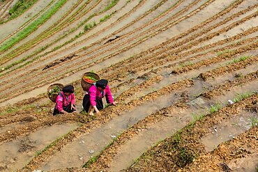 Two woman of the Red Yao ethnic minority in the Ping'an areaa of the Longshen rice terraces in China.