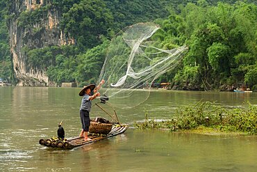 A cormorant fisherman in a conical hat on a bamboo raft throws a cast net in the Li River, Xingping, China.