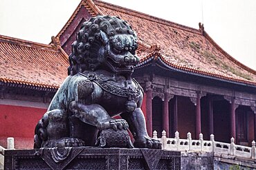 A bronze statue of a lion guards the Forbidden City in Beijing, China.