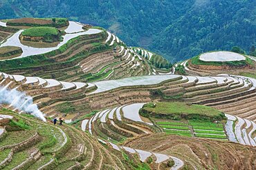 The Seven Stars around the Moon section of the Ping'an Rice Terraces of Longshen, China.