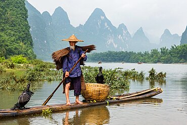 A traditional cormorant fisherman on a bamboo raft with his cormorants on the Li River, Xingping, China.