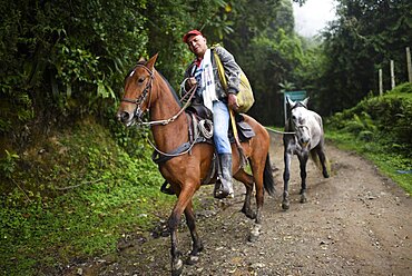 The Cocora Valley (Spanish: Valle de Cocora) is a valley in the department of Quindio, just outside the pretty little town of Salento, in the country of Colombia,