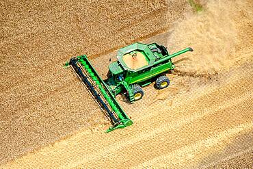 Combine harvesting wheat an Eastern Shore of Maryland