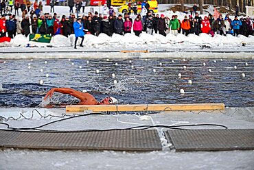 Winter Swimming World Championships 2014 in Rovaniemi, Finland