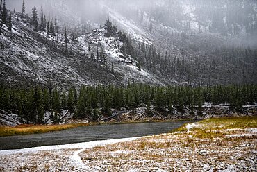 Snowy landscape at Yellowstone National Park, USA