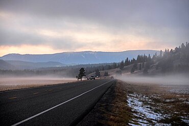 Road at sunset in Yellowstone National Park, USA